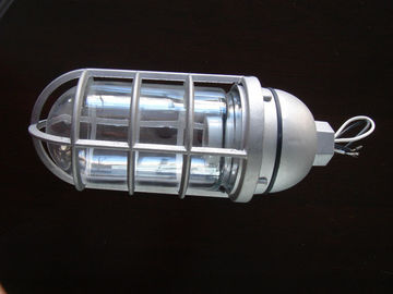 耐圧防爆ダイカストで形造られたアルミニウム フィリップスの蒸気証拠ライト、蒸気証拠の照明設備（BV）